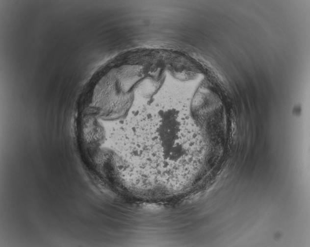 X0000116840592201001081500