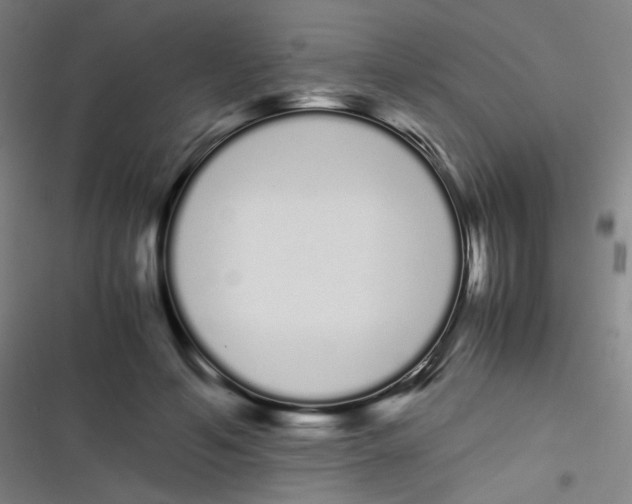 X0000116840594201001081500