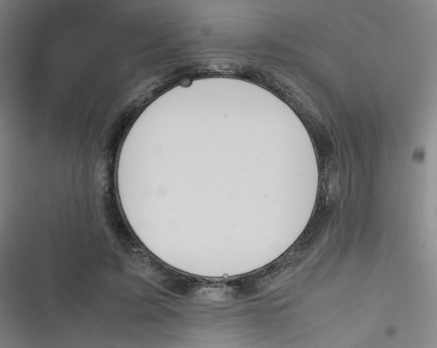 X0000116840595201001081500