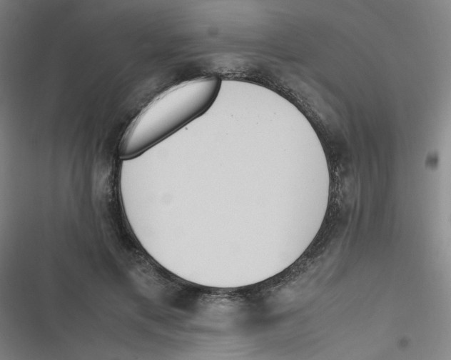 X0000116840597201001081500