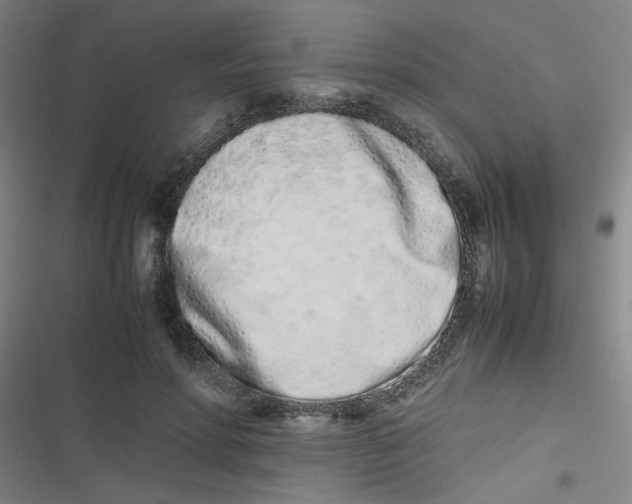 X0000116840598201001081500