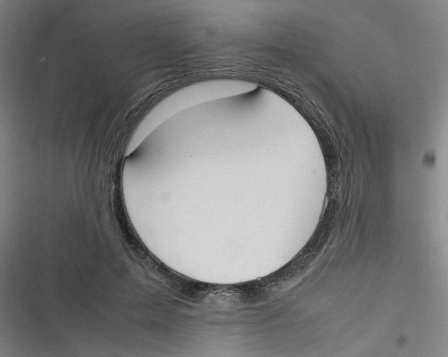 X0000116840599201001081500