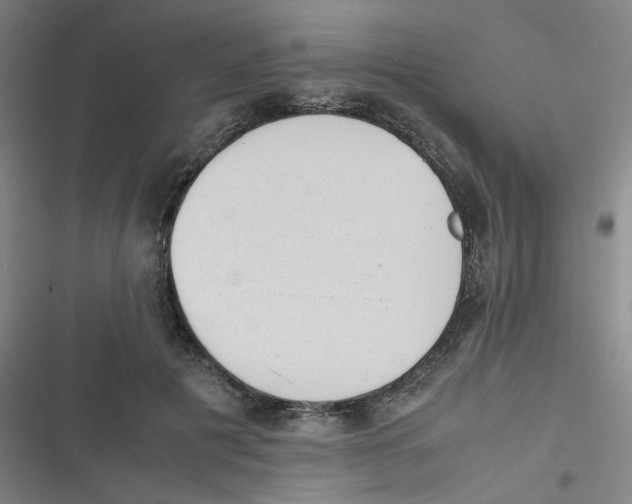 X0000116840601201001081500