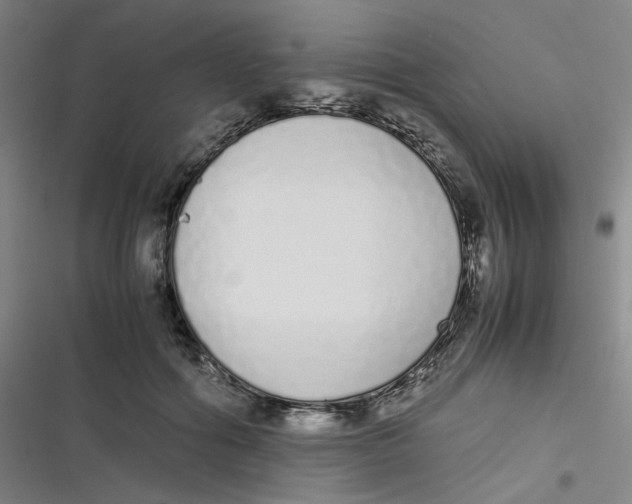 X0000116840602201001081500