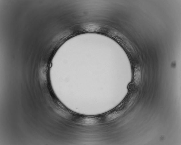 X0000116840604201001081500