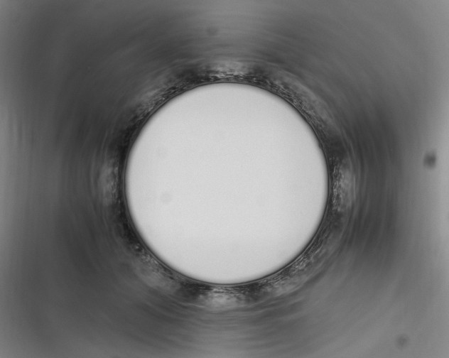 X0000116840608201001081500