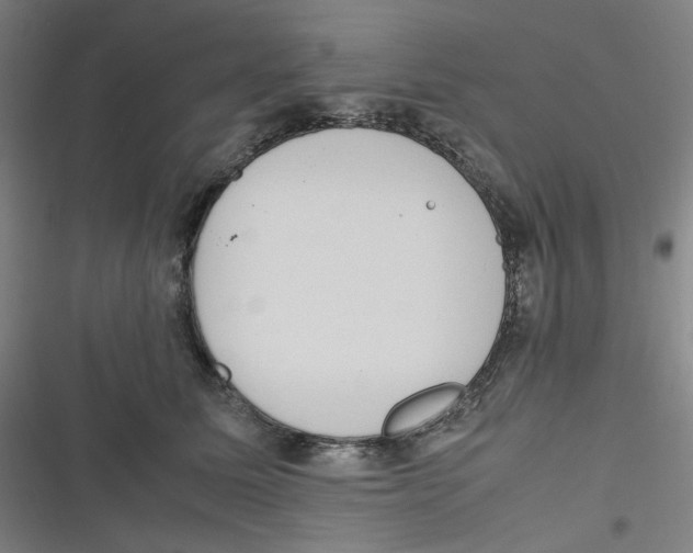 X0000116840611201001081500