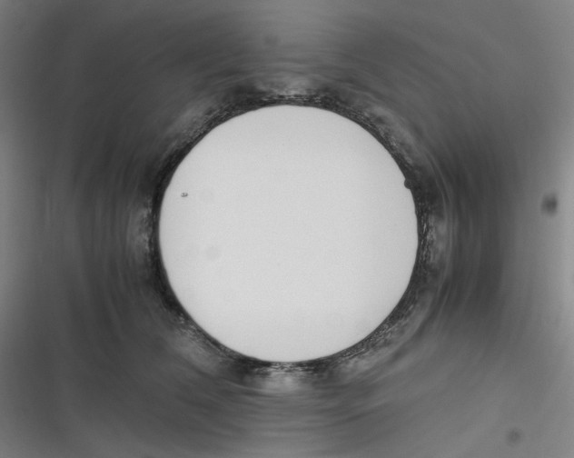 X0000116840612201001081500