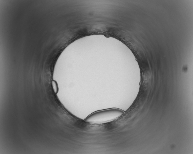 X0000116840617201001081500