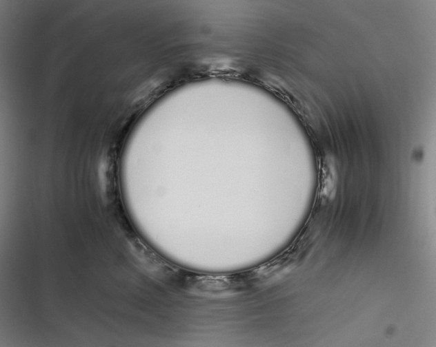 X0000116840618201001081500