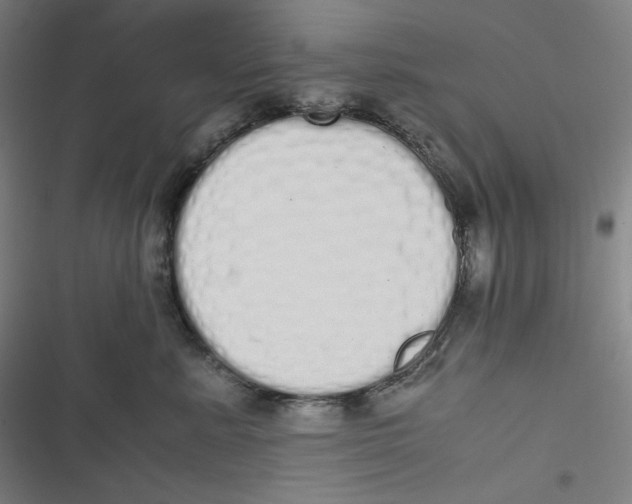 X0000116840619201001081500