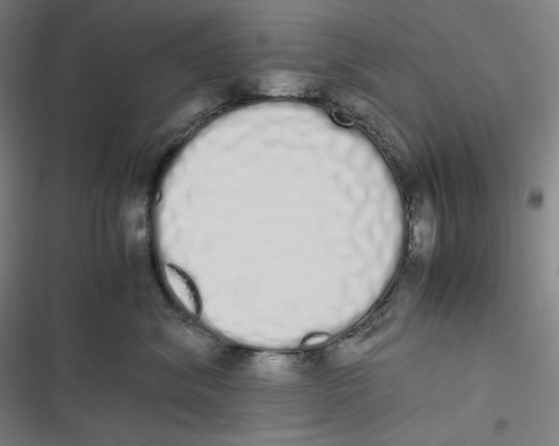 X0000116840620201001081500