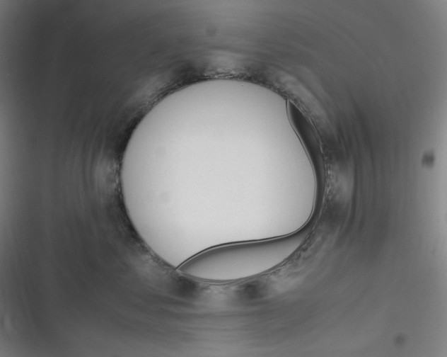 X0000116840621201001081500