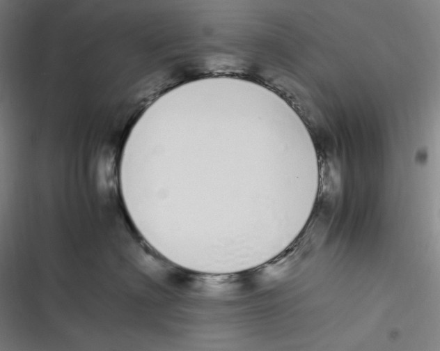 X0000116840622201001081500