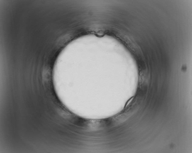 X0000116840623201001081500