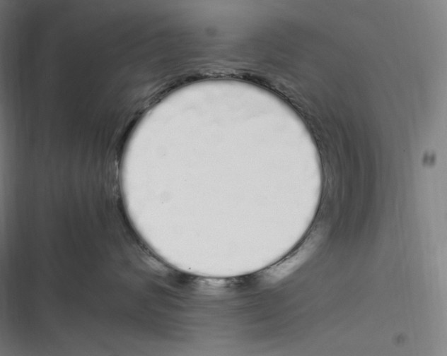 X0000116840624201001081500