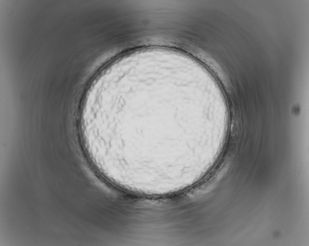 X0000116840625201001081459