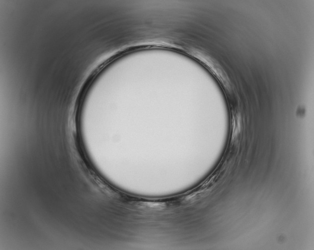 X0000116840628201001081459