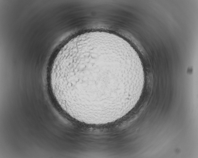 X0000116840629201001081459