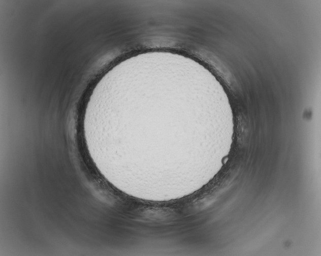 X0000116840631201001081459