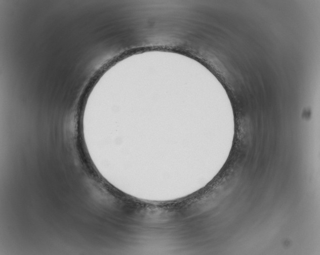 X0000116840632201001081459