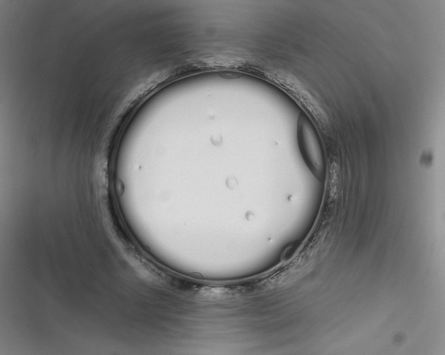 X0000116840634201001081459