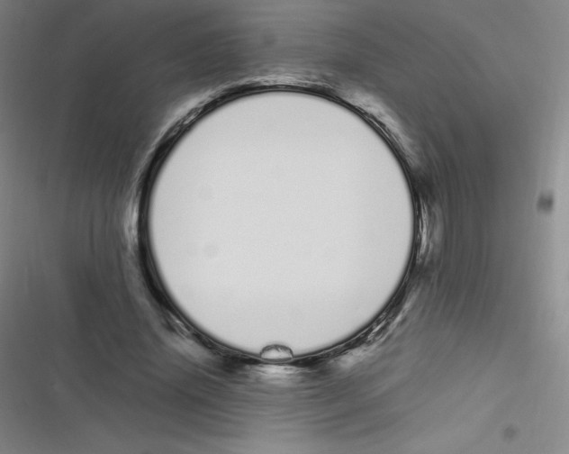 X0000116840636201001081459