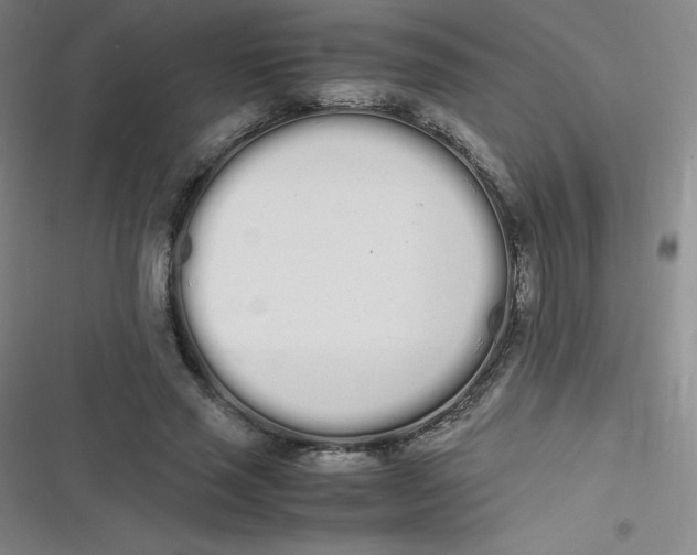 X0000116840637201001081459