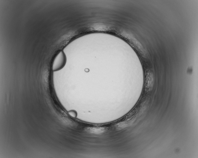 X0000116840639201001081459