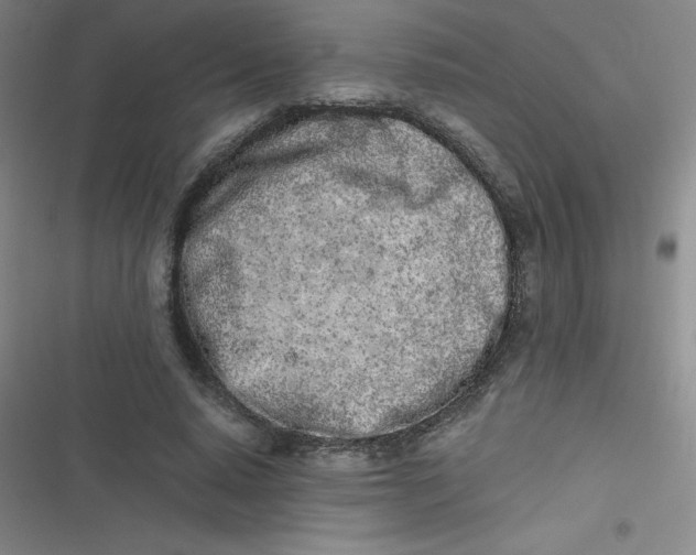 X0000116840640201001081459