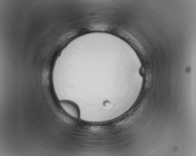 X0000116840641201001081459