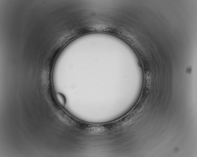 X0000116840642201001081459