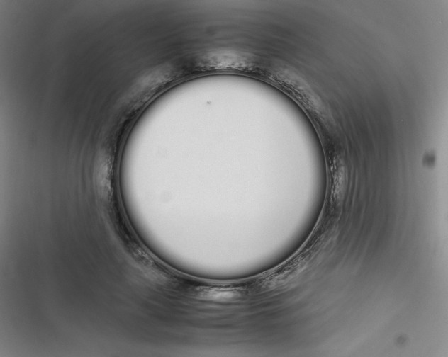 X0000116840643201001081459