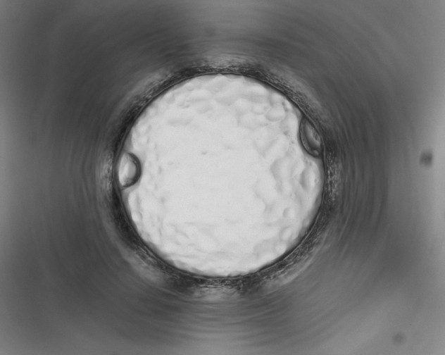 X0000116840644201001081459