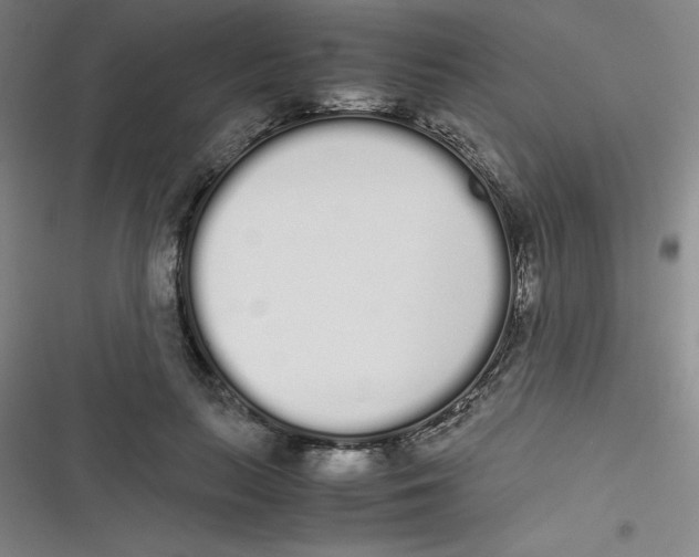 X0000116840647201001081459