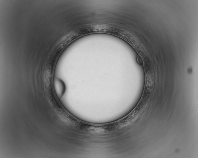 X0000116840648201001081459