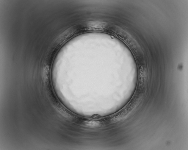 X0000116840649201001081459