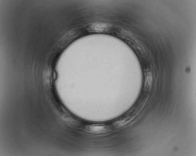 X0000116840651201001081459