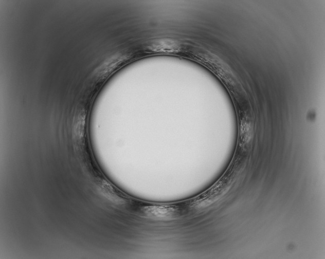 X0000116840652201001081459