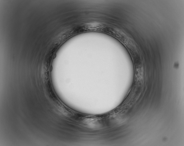 X0000116840653201001081459