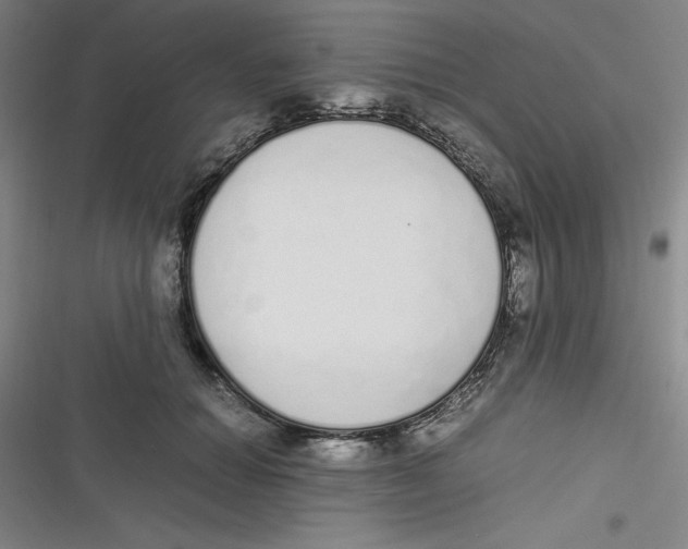 X0000116840654201001081459