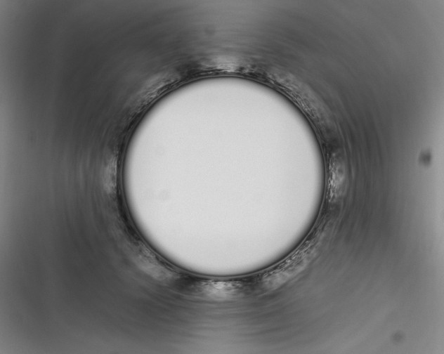 X0000116840656201001081459