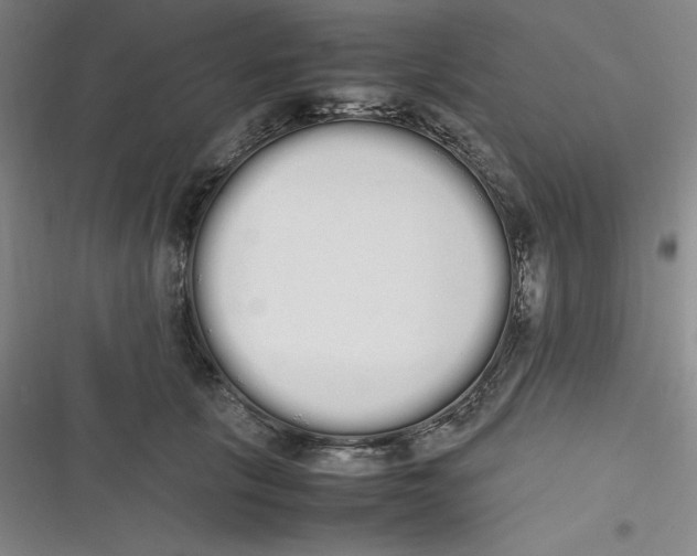 X0000116840657201001081459