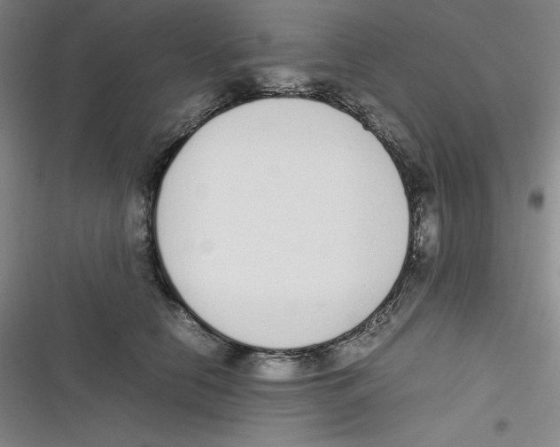 X0000116840658201001081459