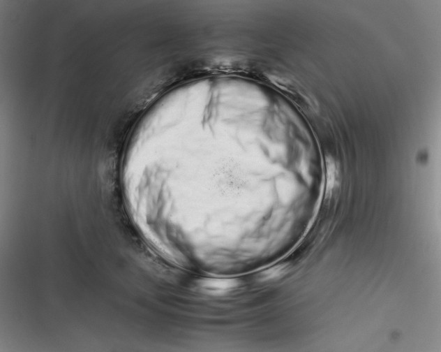 X0000116840659201001081500