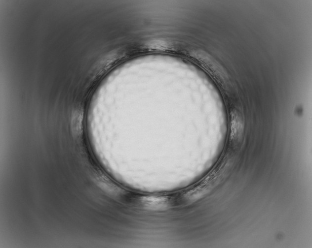 X0000116840660201001081500