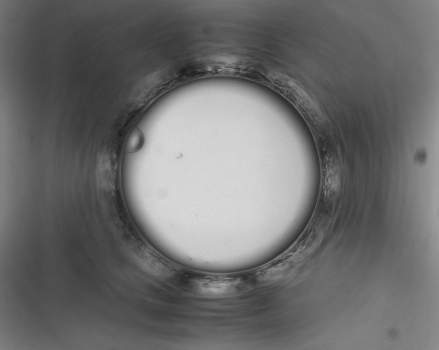 X0000116840661201001081500