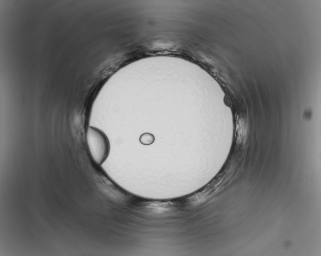 X0000116840662201001081500