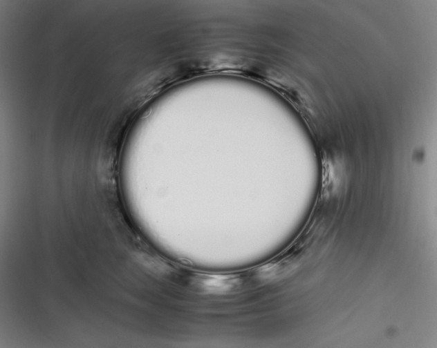 X0000116840663201001081500