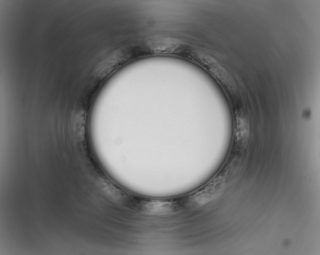 X0000116840664201001081500